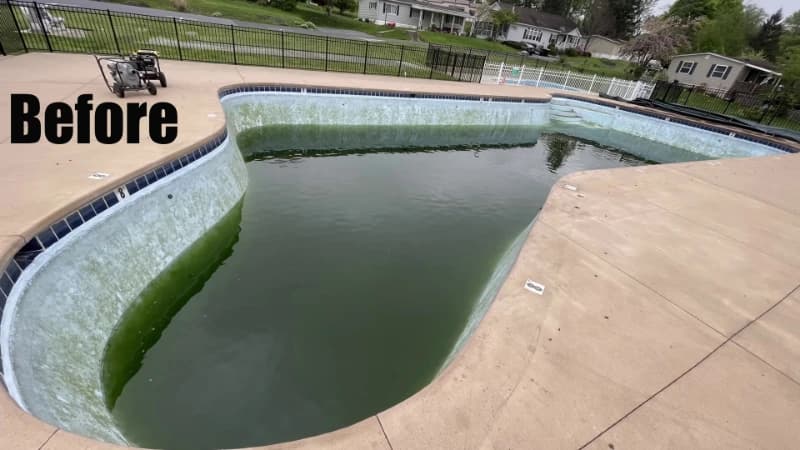 Swimming pool full of green algae-laden water before cleaning, concrete deck beyond