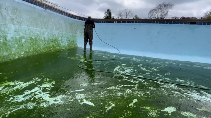 Heavy green algae covering the floor of a drained swimming pool during cleaning